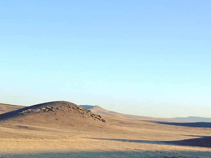 73321395_10156571684320108_3516658297853706240_n